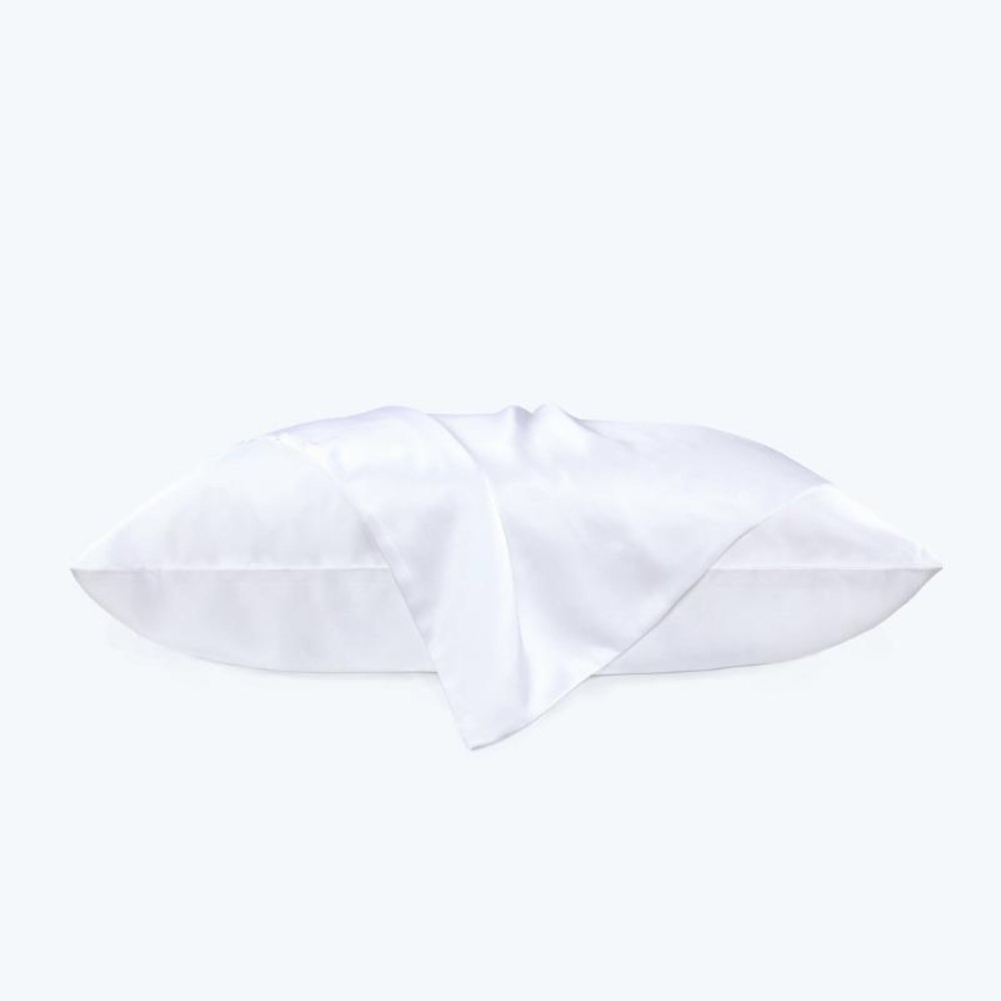 22 Momme Silk Pillowcase 100% Pure Mulberry Silk 22 Momme Silk Pillowcase 100% Pure Mulberry Silk freeshipping - Decorstylish 55.99